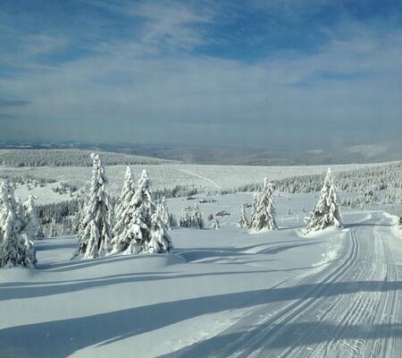 Trasy biegowe Strážné
