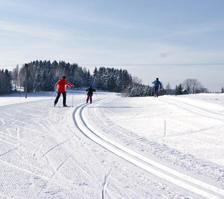Trasy biegowe w Vítkovicach