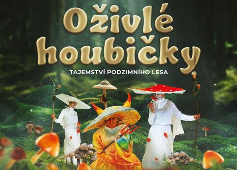Oživlé houbičky – Tajemství podzimního lesa