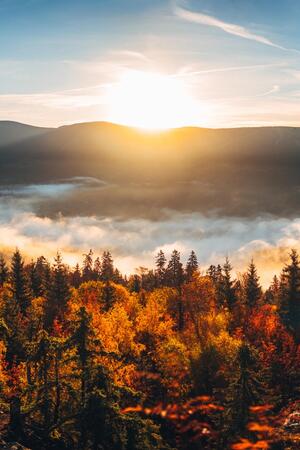 Jesień ve Velké Úpě