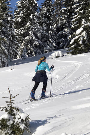 Cross country tracks in Krkonose