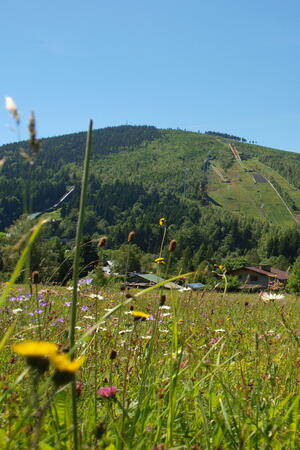 Harrachov