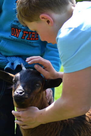 Farmapark Muchomůrka