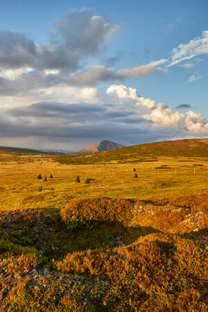 Którędy na Śnieżkę