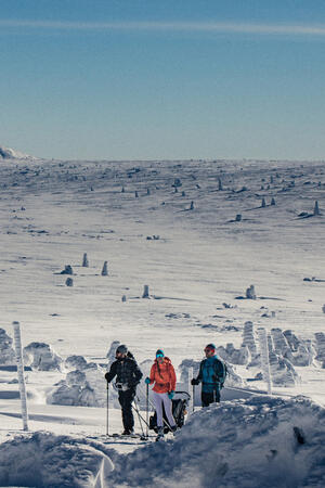 Zažij skialpy v Krkonoších
