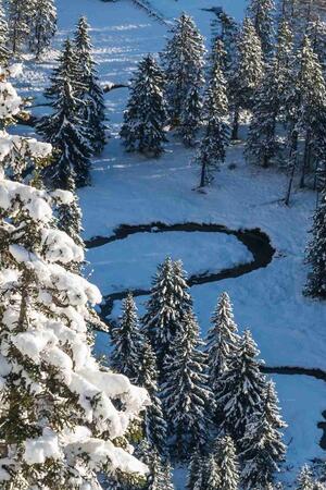 Meanders in Labsky dul Valley