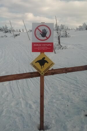 Zákaz vstupu na některé cesty v horách