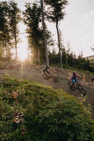 Bike park Aldrov Vítkovice