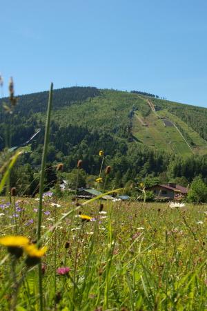 Čertova hora Harrachov