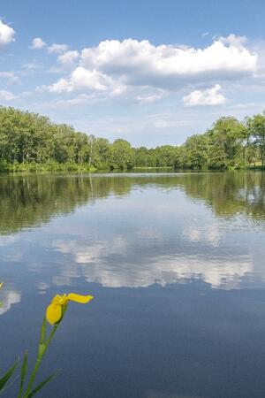 Martinice ponds