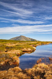 Aupa - Hochmoor