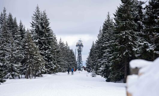 Rozhledna Panorama na Černé hoře