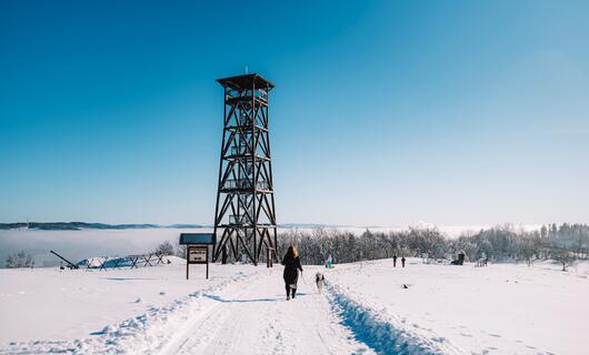 Rozhledna Eliška na Stachelbergu
