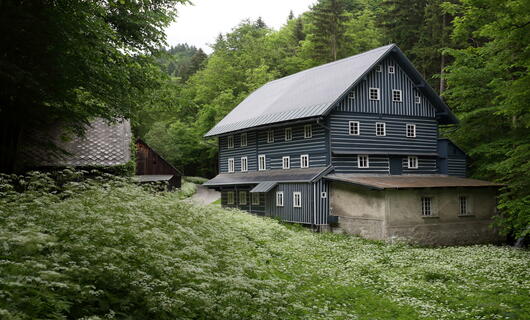 Janatův mlýn Buřany