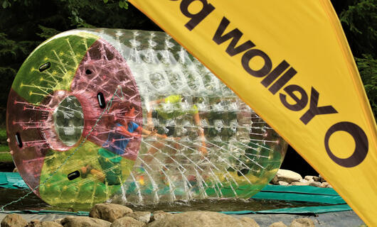 Aquazorbing - Aquaroller