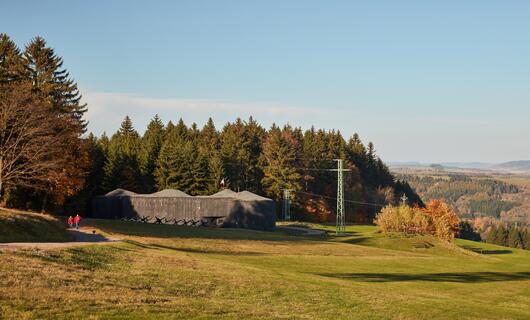 Dělostřelecká tvrz Stachelberg
