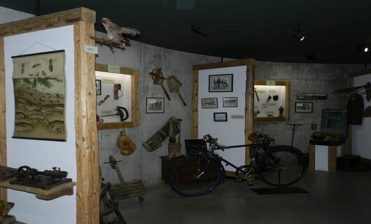 Muzeum Cimrmanovy doby