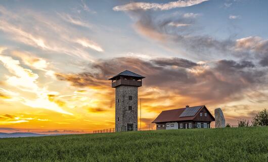 Rozhledna U borovice