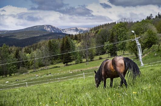 Okolím Jestřabího v Krkonoších 