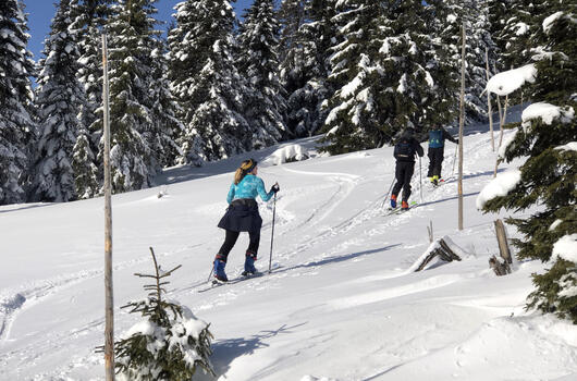Z Dolního Dvora do Strážného přes Tetřeví a Hříběcí boudy