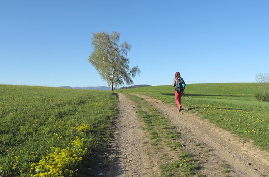 Víchovská stezka za Kavánovými obrazy