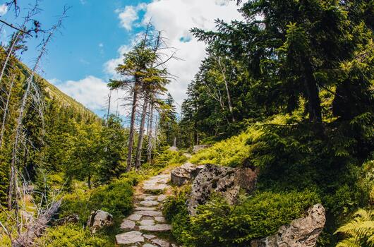 Pouť krkonošská - údolí Bílého Labe
