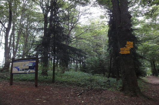 Den bitvy u Trutnova