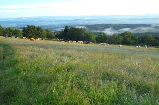 U Böhnischových bud