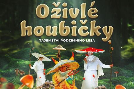 Oživlé houbičky – Tajemství podzimního lesa