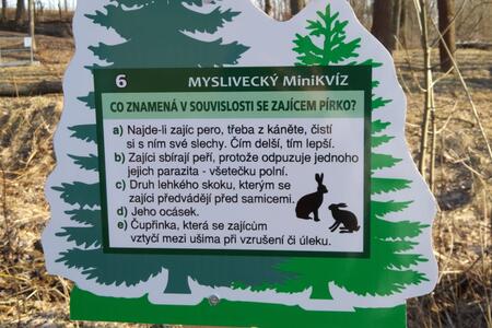 Minikvíz z myslivosti
